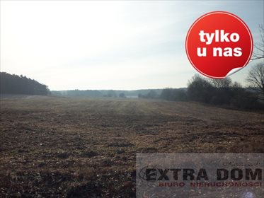 Dom na sprzedaż Sulęcin 690 000m2 Foto 4