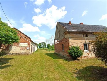 działka na sprzedaż 12900m2 działka Stronia