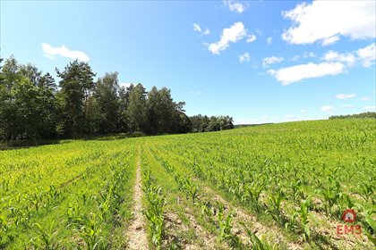 działka na sprzedaż 1100m2 działka Rożyńsk Wielki