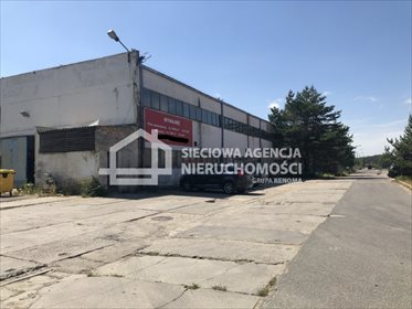 Magazyn na wynajem Gdynia, Dąbrowa 700m2 Foto 1