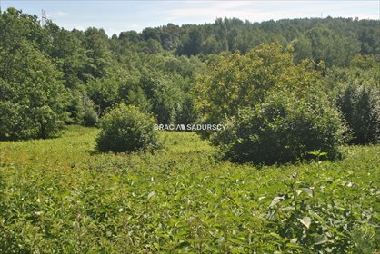 Działka budowlano-rolna z panoramicznym widokiem polecam działka Lusina
