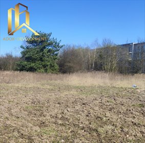 działka na sprzedaż 1266m2 działka Tarczyn