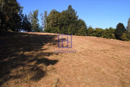 Działka budowlana na sprzedaż Miłoszów, Miłoszów 6 500m2 Foto 7