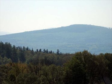 Działka rolna na sprzedaż Karłowiec, okolice Świerdadowa 5 300m2 Foto 7