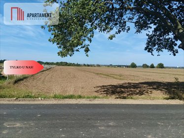Działka rolna 10 900 m2 z dostępem asfaltowym. działka Głoska