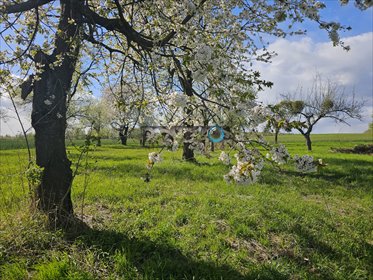 działka na sprzedaż 200000m2 działka Rzeczyca, Rzeczyca