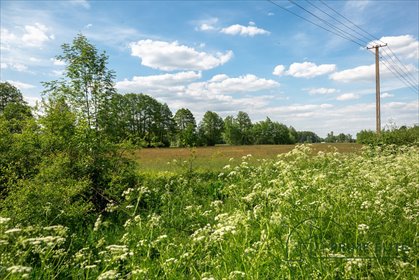 działka na sprzedaż Wołomin Nowa Wieś 29900 m2