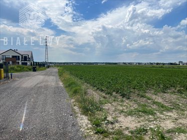 działka na sprzedaż 1000m2 działka Nowa Wola, Azalii