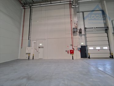 Magazyn na wynajem Warszawa, Białołęka 1 790m2 Foto 6
