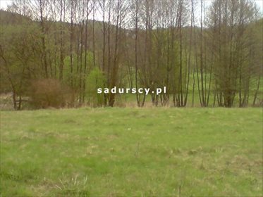 Działka budowlana na sprzedaż Frywałd 25 000m2 Foto 7
