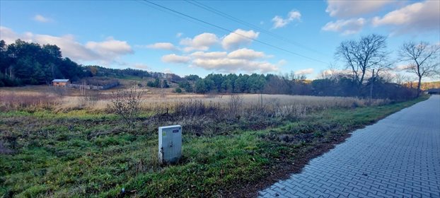 Działka rolna na sprzedaż Bliżów 18 700m2 Foto 1
