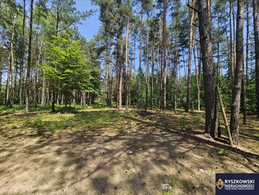 działka na sprzedaż 1000m2 działka Trzepieciny