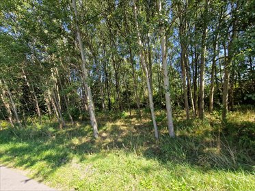 działka na sprzedaż 1126m2 działka Orzesze, Zgoń, Akacjowa