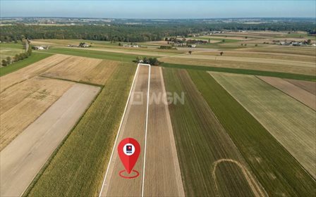 Działka rolna na sprzedaż Życzyn, Życzyn 22 600m2 Foto 4