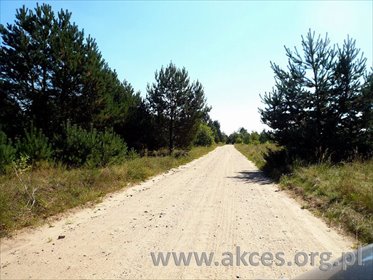 działka na sprzedaż 43000m2 działka Bartoszówka