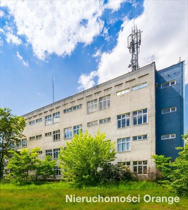 lokal użytkowy na sprzedaż 2796m2 lokal użytkowy Ostrowiec Świętokrzyski