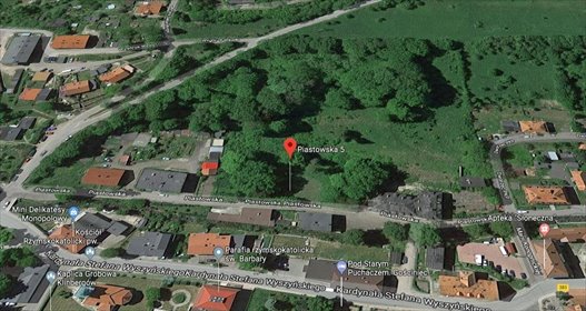 dom na sprzedaż 1000m2 dom Walim, Piastowska