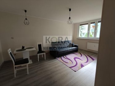mieszkanie na wynajem 48m2 mieszkanie Gniezno