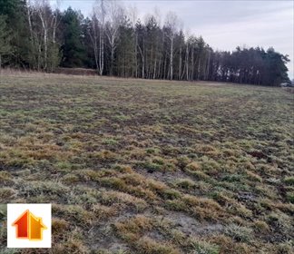 Urokliwa działka rolna 0,42ha z lasami i spokojem działka Rakszawa