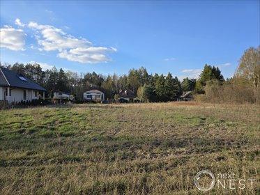 Działka budowlana 1000 m2 w Łoś, spokojna okolica działka Łoś