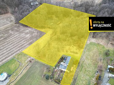 działka na sprzedaż 4019m2 działka Zebrzydowice, Zebrzydowice Dolne, Stawowa