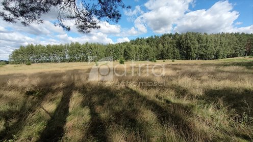 Działka 3182 m² w otulinie Puszczy Goleniowskiej działka Komarowo