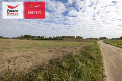 Zapraszam do obejrzenia działki 1000 m² w Staniszewie działka Staniszewo, Rajska