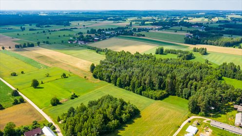 Działka inna na sprzedaż Chwaszczewo 27 254m2 Foto 6