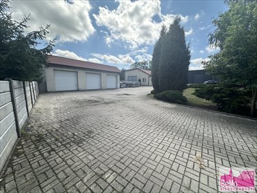 lokal użytkowy na wynajem 422m2 lokal użytkowy Lipno, Lipno