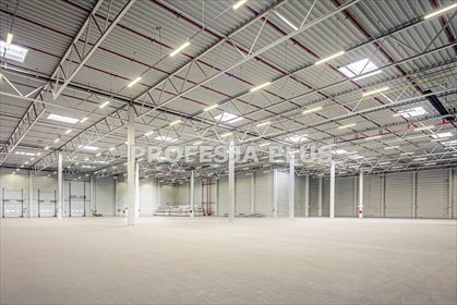magazyn na wynajem 6000m2 magazyn Będzin