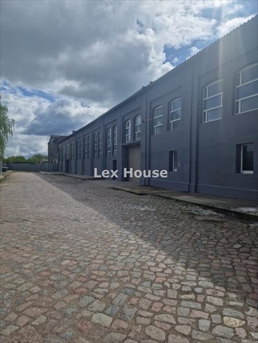magazyn na wynajem 1000m2 magazyn Szczecin