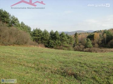 działka na sprzedaż 125100m2 działka Dukla