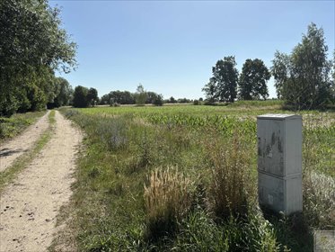 działka na sprzedaż 1200m2 działka Osowo Stare