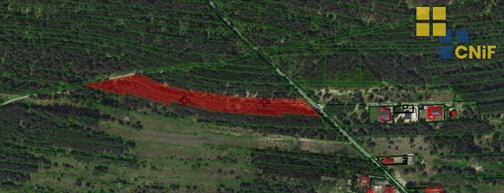 działka na sprzedaż 9870m2 działka Skrajnica