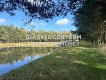 Działka 59 568 m² w Ługi-Radły (MPZP, las, stawy) działka Ługi-Radły, Ługi, Kościelna