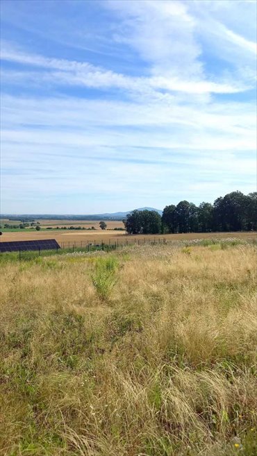 działka na sprzedaż 3566m2 działka Świdnica