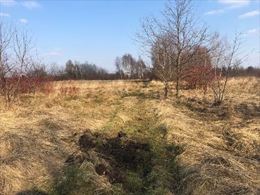 Działka pod zabudowę 11 289 m² z dostępem z dwóch stron działka Częstochowa, WIELKI BÓR