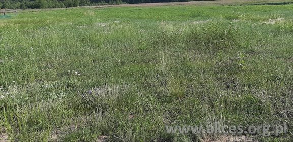 działka na sprzedaż 2117m2 działka Nieporęt