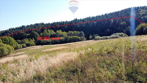 Działka budowlana na sprzedaż Czaszyn 38 200m2 Foto 3