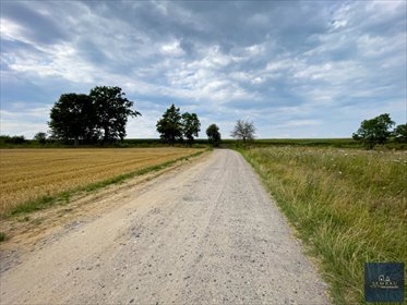Działka budowlana 900 m² w Starej Łubiance - polecam! działka Stara Łubianka
