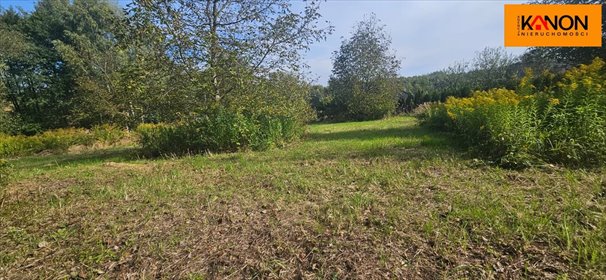 działka na sprzedaż 7476m2 działka Rybnik, Niedobczyce