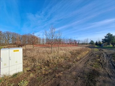 działka na sprzedaż 1060m2 działka Narok