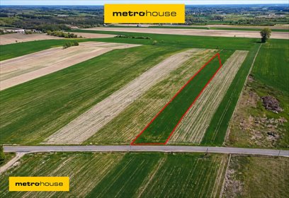 Działka siedliskowa 8 400 m² z dostępem do prądu i wody działka Nowe Rowiska