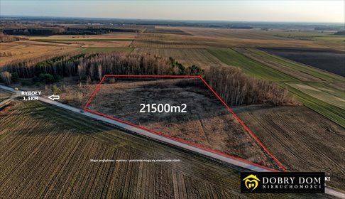 Zapraszam do zakupu działki 21 500 m² w Ryboły z potencjałem OZE działka Ryboły