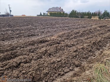 działka na sprzedaż 1250m2 działka Dojazdów