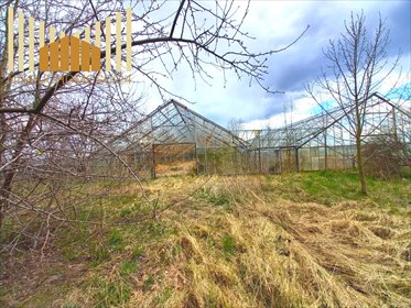 Zapraszam do obejrzenia siedliska 13 900 m² w Siennicy działka Siennica