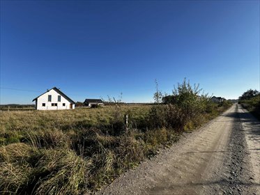 działka na sprzedaż 16696m2 działka Dąbrówka, Leśna