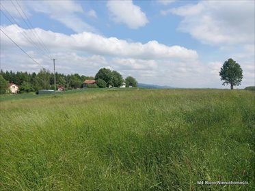 działka na sprzedaż 1915m2 działka Przybówka