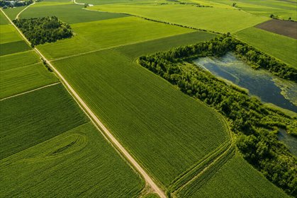 Na sprzedaż grunty rolne–Lenartowice gmina Pleszew działka Lenartowice