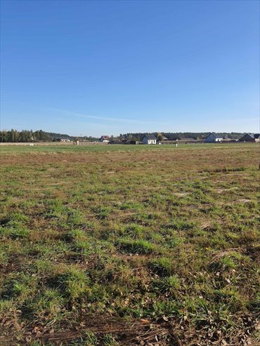 działka na sprzedaż 1000m2 działka Żuków